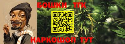 ПСИЛОЦИБИНОВЫЕ ГРИБЫ Новодвинск
