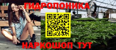 соль ск Новокубанск