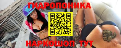метадон Новозыбков