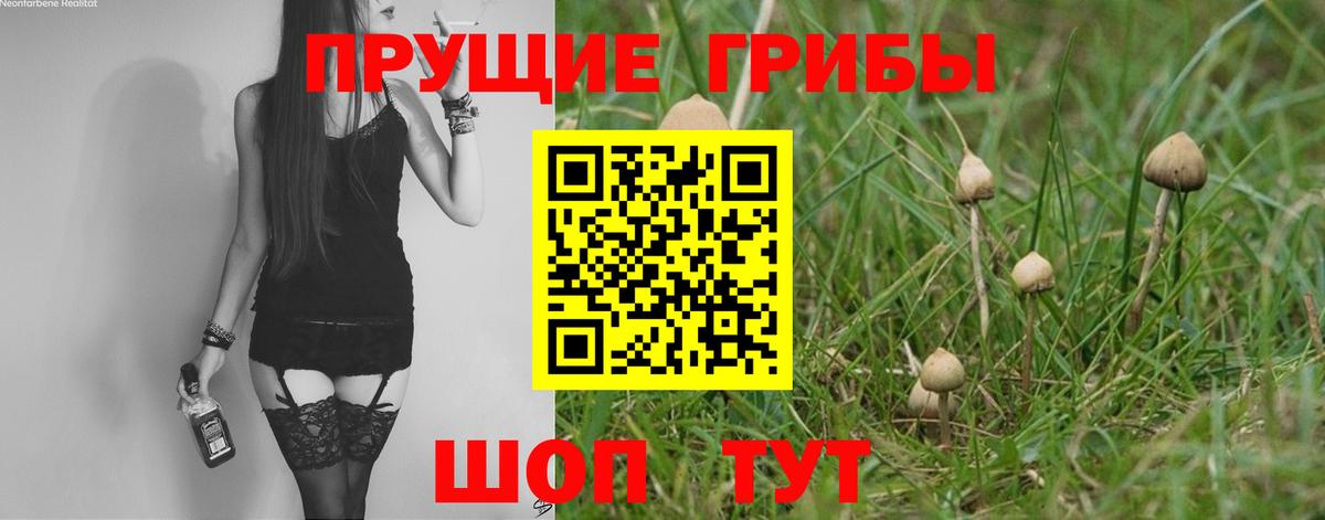 Псилоцибиновые грибы MAGIC MUSHROOMS  Вход с VPN  Тихвин 
